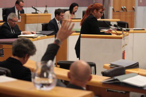 Der Landtag ist für Kennzeichnungspflicht bei Schweinefleisch.