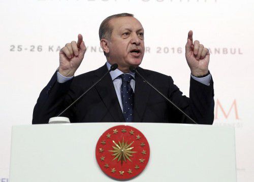 Erdogan forderte die Austro-Türken auf, Hofer zu wählen. Foto: AP