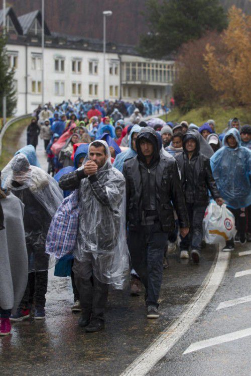 Flüchtlinge erreichen im Jahr 2015 das Sammelzentrum Spielfeld. Heuer wurden weitaus weniger Asylanträge gestellt. Foto: APA