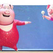 Ein tierisch lustiger Talenteshow-Trip