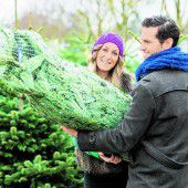 Lange Freude am Weihnachtsbaum