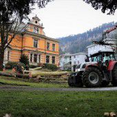 Erkrankte Bäume bei der Villa Claudia gefällt