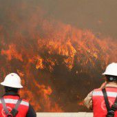 Großbrand zerstörte 50 Hektar Wald