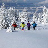 Klirrende Kälte und Pulverschnee