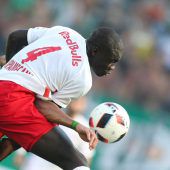 Bullen als Transferkönige