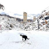 Erdbebenserie trifft  Italien im Schneechaos