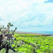 Wandern im ­Nationalpark