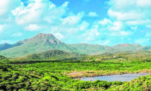 Der Christoffelberg ist mit 372 Metern die höchste Erhebung der Insel. Fotos: shutterstock
