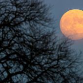 Mond, Natur, Mensch und mystische Momente