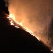 Feuerwehr Nüziders verhindert Waldbrand