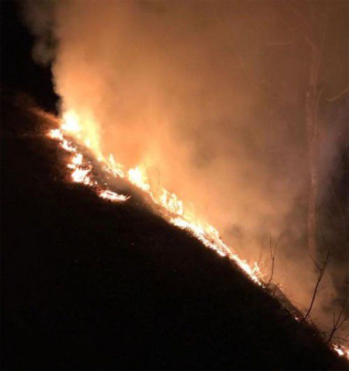 Die Bergwiese im Muttersberger Wald brannte lichterloh. Foto: FW