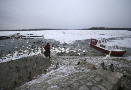 Die Donau ist bei Belgrad zugefroren. Eisbrecher sollen helfen, da sonst bei Schneeschmelze Überflutungen drohen. Foto: AP