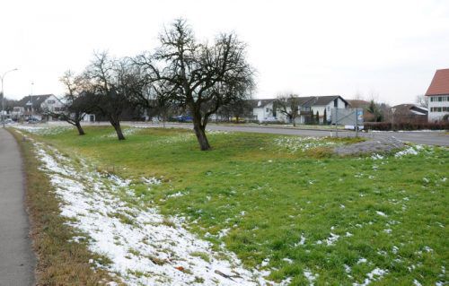 Diese Senke zwischen der Dorfstraße und der L 202 bietet künftig zusätzlich Parkplatzflächen für den neuen Nahversorger. Foto: ajk