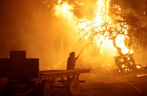 Ein Feuerwehrmann geht gegen die verheerenden Flammen vor. Einige der Brände sind anscheinend unter Kontrolle. Foto: Reuters