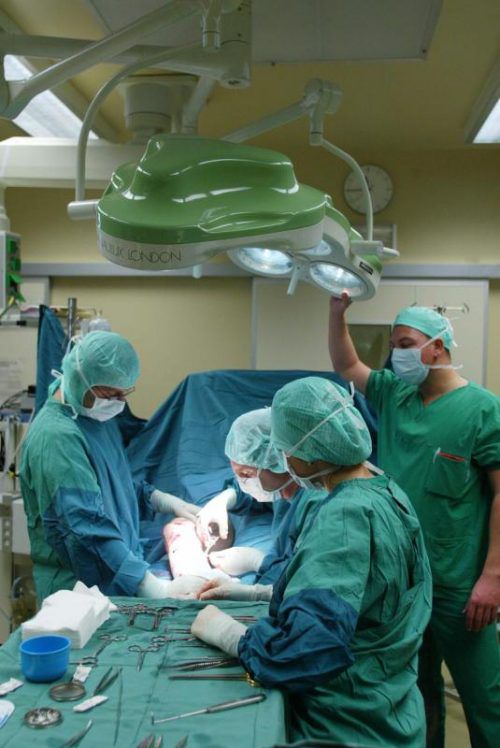 Eine Operation ist derzeit oft die einzige Chance. Foto: vn/hb