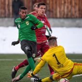 Gut gelaunte Austria siegt gegen Vaduz 3:0