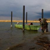 „Grätenfisch“ soll auf Teller der Vorarlberger