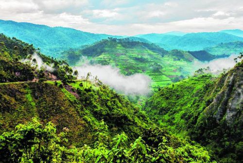 Neben den Gorillas bietet Uganda auch eine spektakuläre Landschaft. Fotos: shutterstock