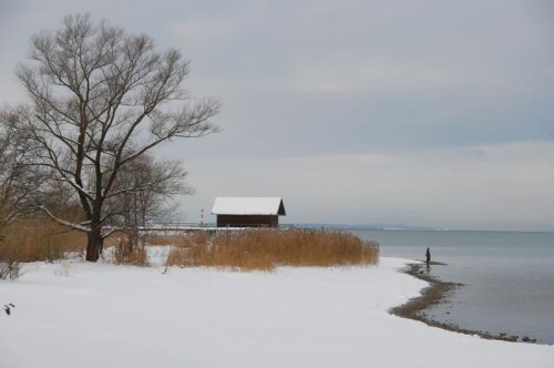 Spaziergang rund um Bregenz am 8. Februar.  Foto: hapf