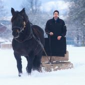 Eine Pferdestärke im Wintereinsatz