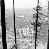 Bremenmahd in Dornbirn