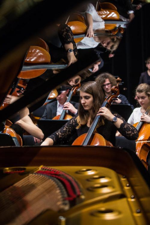 Das Jugendsinfonieorchester Dornbirn ist eines der Aushängeschilder der Kulturszene in der Messestadt. Foto: vn