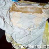 Portion Marihuana im Stinkekäse versteckt