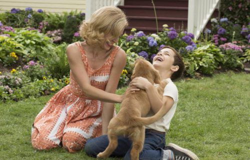Der Star des Films „Bailey – ein Freund fürs Leben“ ist ein Hund, der immer wieder geboren wird.  Foto: AP