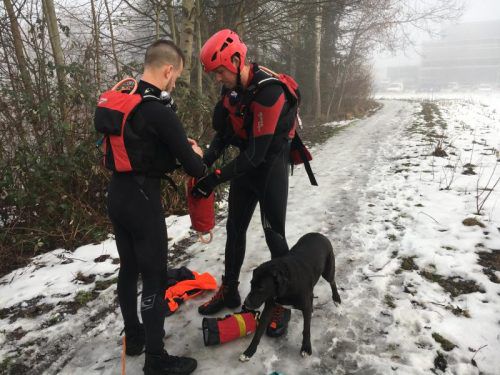 Die Labradorhündin Bonny mit ihren Rettern. Sie erholte sich schon kurz nach der Bergung.  Foto: vol.at/Madlener