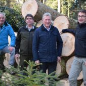 Frischer Wind weht nun in alten Wäldern