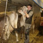Der Zivildiener und das liebe Vieh