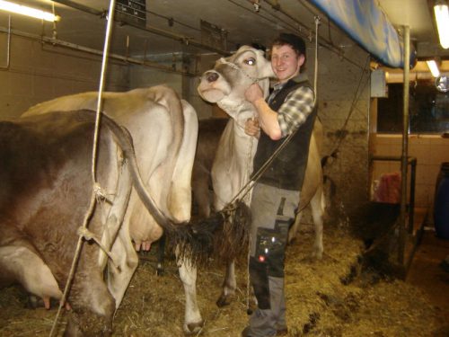 Mit dem Zivildienst in der Landwirtschaft hat sich Leander Wittwer seinen Herzenswunsch erfüllt. Foto: VN/hp