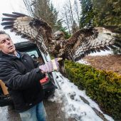 Lebensretter der großen Vögel
