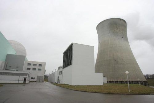 Soll wieder ans Netz: das Schweizer AKW Leibstadt. Foto: VN