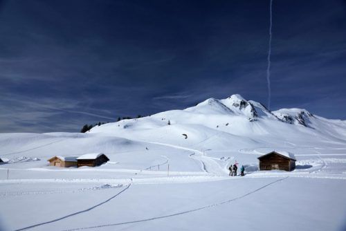 Zog sich beim Skifahren in Damüls Verletzungen zu: Dornbirns Stadtchefin Andrea Kaufmann. Foto: VN