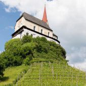 Neuer Pächter für Weingarten  bei der Basilika