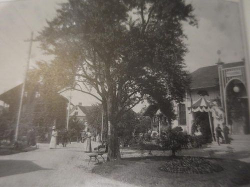 Das Ausstellungsgelände im Jahr 1900 an der Goethestraße in Richtung Dr.-Waibel-Straße. Foto: stadtarchiv