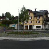 Zum dritten Mal einen Baum gefällt