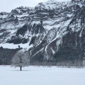 Wälder machen gegen eine Kiesgrube mobil
