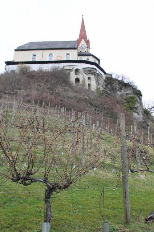 Die Pacht unter der Basilika umfasst 450 Weinreben. he