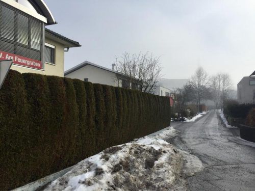 Die Sackgasse „Am Feuergraben“ befindet sich im Dornbirner Stadtteil Rohrbach. Foto: lös