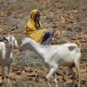 Dürre im Osten Afrikas wird zur Katastrophe