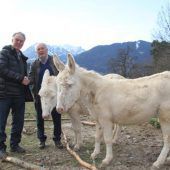 Nachwuchs im Wildpark