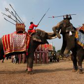 Thailand feiert seine Elefanten