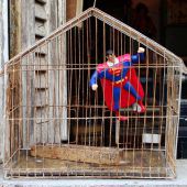 Superman im Vogelkäfig