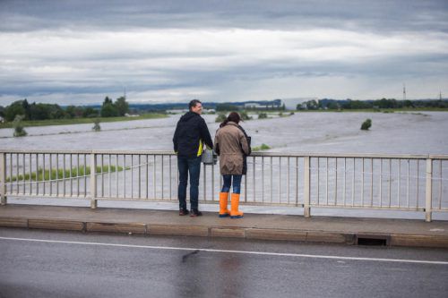 Hochwasser am Rhein. Die Durchflusskapazität  soll auf 4300 m3/s erhöht werden. Foto: VN/Steurer