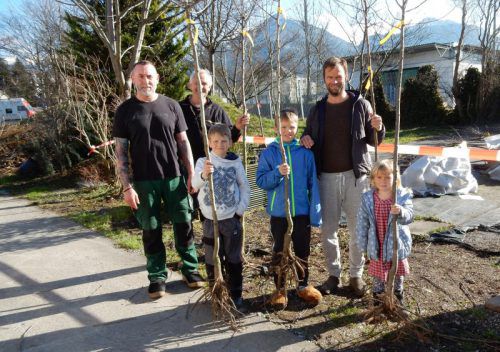 In Dornbirn werden viele neue Bäume gepflanzt. Foto: std