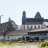 Großer Parkplatz statt Musterhof