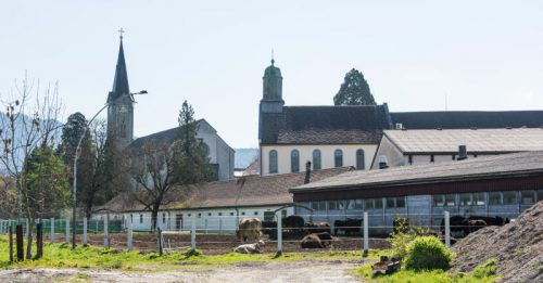 Jetzt wollen die Mönche die Stallungen schleifen.  Foto: Stiplovsek