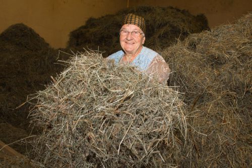 Maria Burger wuchs auf einem Bauernhof auf und heiratete später einen Bauern. Sie ist mit Leib und Seele Bäuerin.  Foto: VN/Bernd Hofmeister